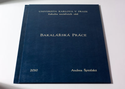 Kniharstvi_Rak_diplomove_prace_12