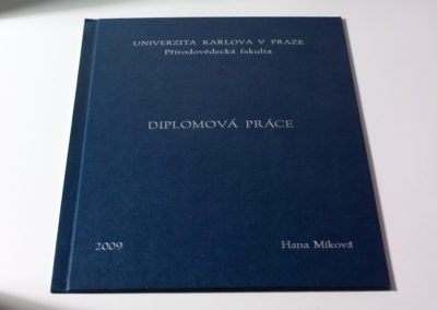 Kniharstvi_Rak_diplomove_prace_13