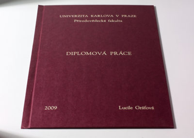 Kniharstvi_Rak_diplomove_prace_16