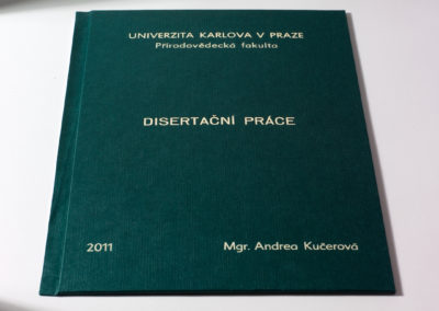 Kniharstvi_Rak_diplomove_prace_18