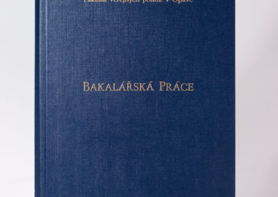 Kniharstvi_Rak_diplomove_prace_21