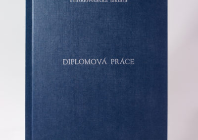 Kniharstvi_Rak_diplomove_prace_22