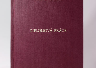 Kniharstvi_Rak_diplomove_prace_25