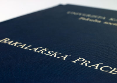 Kniharstvi_Rak_diplomove_prace_34