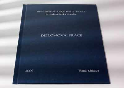 Kniharstvi_Rak_diplomove_prace_6